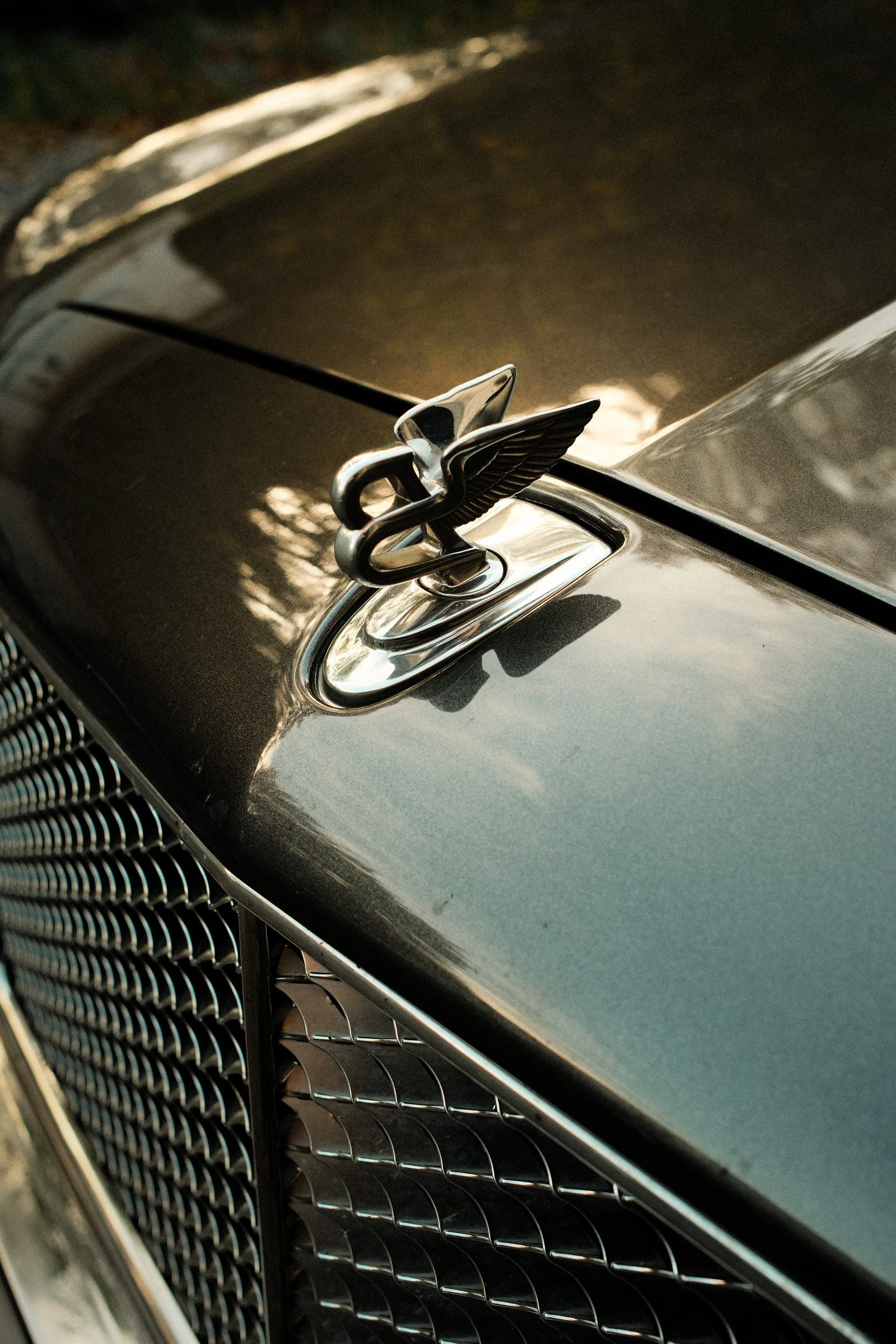 Club Ecurie Vienne — [placeholder still 5]